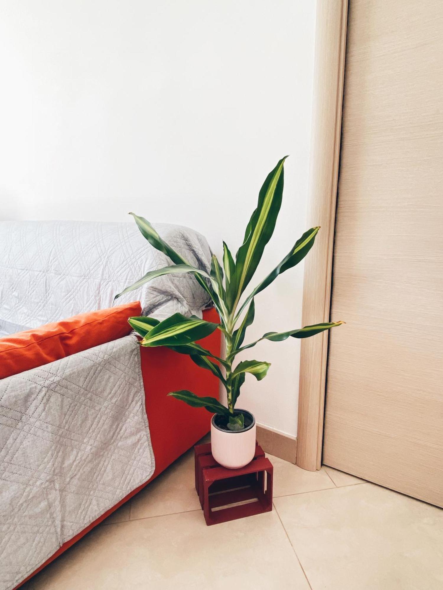Apartment In Siena With Private Parking מראה חיצוני תמונה